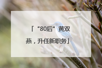 “80后”黄双燕，升任新职务