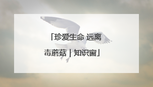 珍爱生命 远离毒蘑菇｜知识窗