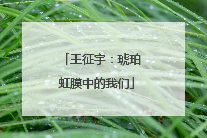 王征宇：琥珀虹膜中的我们