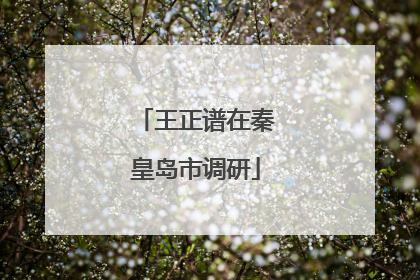 王正谱在秦皇岛市调研