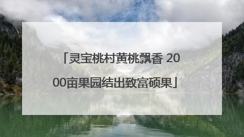 灵宝桃村黄桃飘香 2000亩果园结出致富硕果