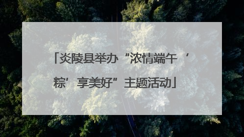 炎陵县举办“浓情端午‘粽’享美好”主题活动