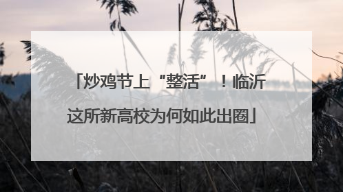 炒鸡节上“整活”！临沂这所新高校为何如此出圈