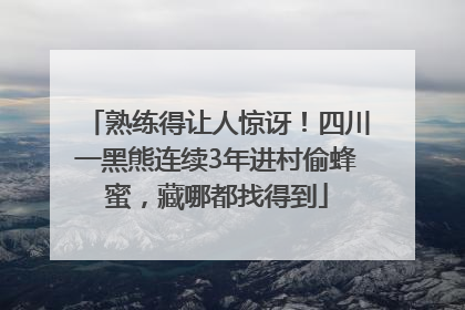 熟练得让人惊讶！四川一黑熊连续3年进村偷蜂蜜，藏哪都找得到