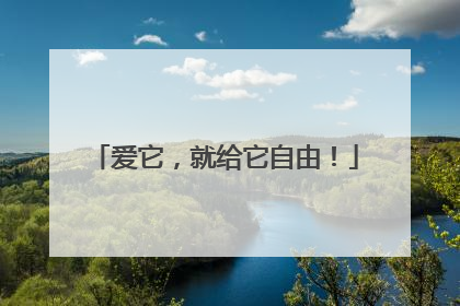 爱它，就给它自由！