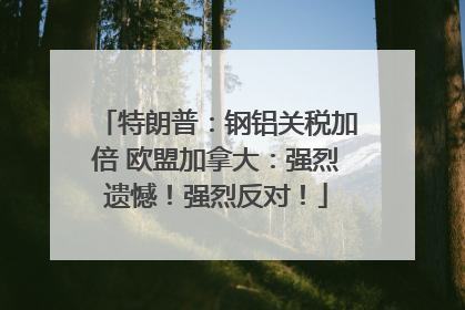 特朗普：钢铝关税加倍 欧盟加拿大：强烈遗憾！强烈反对！