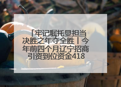 牢记嘱托显担当 决胜之年夺全胜丨今年前四个月辽宁招商引资到位资金4186.8亿元，同比增长17.4%