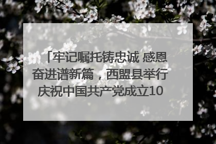 牢记嘱托铸忠诚 感恩奋进谱新篇，西盟县举行庆祝中国共产党成立104周年文艺晚会