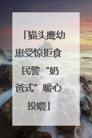 猫头鹰幼崽受惊拒食 民警“奶爸式”暖心投喂