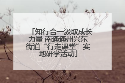 知行合一汲取成长力量 南通通州兴东街道“行走课堂”实地研学活动
