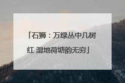 石狮：万绿丛中几树红 湿地荷塘韵无穷
