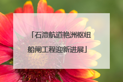 石澧航道艳洲枢纽船闸工程迎新进展