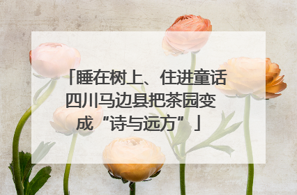 睡在树上、住进童话 四川马边县把茶园变成“诗与远方”