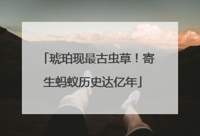 琥珀现最古虫草！寄生蚂蚁历史达亿年