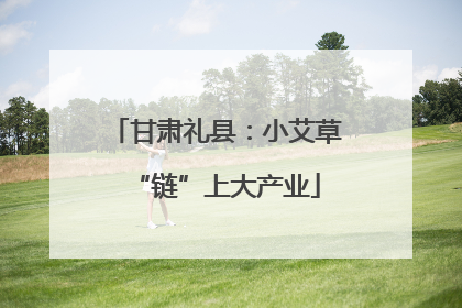 甘肃礼县：小艾草“链”上大产业