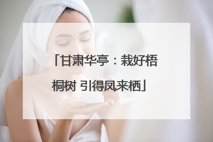 甘肃华亭：栽好梧桐树 引得凤来栖