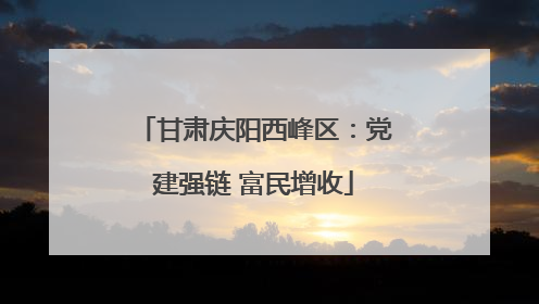 甘肃庆阳西峰区：党建强链 富民增收