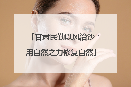 甘肃民勤以风治沙：用自然之力修复自然
