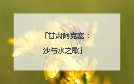 甘肃阿克塞：沙与水之歌