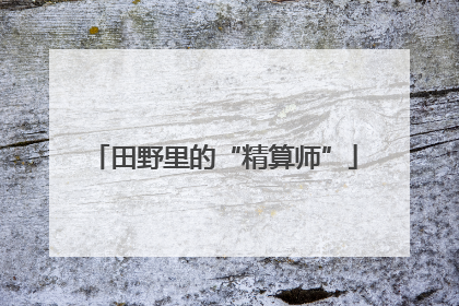 田野里的“精算师”