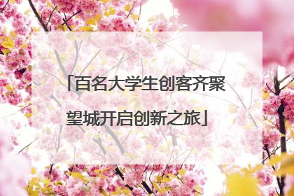 百名大学生创客齐聚望城开启创新之旅