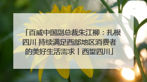 百威中国副总裁朱江柳：扎根四川 持续满足西部地区消费者的美好生活需求丨西望四川