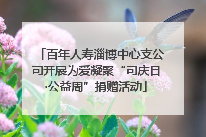百年人寿淄博中心支公司开展为爱凝聚“司庆日·公益周”捐赠活动