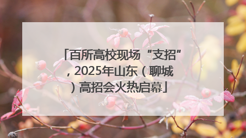百所高校现场“支招”，2025年山东（聊城）高招会火热启幕