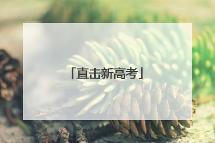 直击新高考