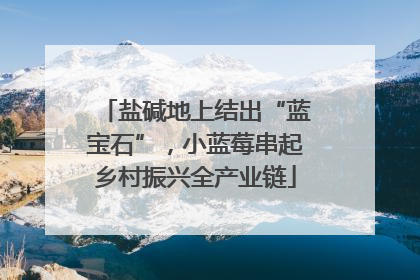 盐碱地上结出“蓝宝石”，小蓝莓串起乡村振兴全产业链