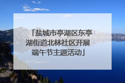 盐城市亭湖区东亭湖街道北林社区开展端午节主题活动