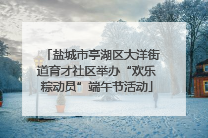盐城市亭湖区大洋街道育才社区举办“欢乐粽动员”端午节活动