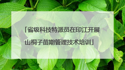 省级科技特派员在印江开展山桐子苗期管理技术培训