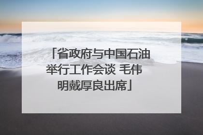 省政府与中国石油举行工作会谈 毛伟明戴厚良出席