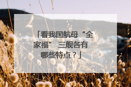看我国航母“全家福” 三舰各有哪些特点？