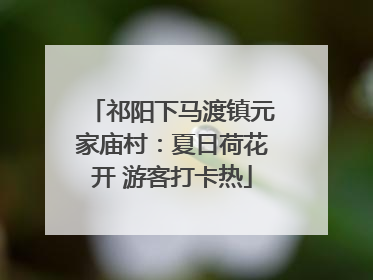 祁阳下马渡镇元家庙村：夏日荷花开 游客打卡热