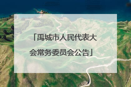 禹城市人民代表大会常务委员会公告