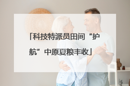 科技特派员田间“护航”中原夏粮丰收