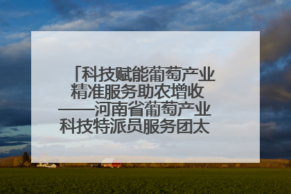 科技赋能葡萄产业 精准服务助农增收——河南省葡萄产业科技特派员服务团太康县科技服务纪实