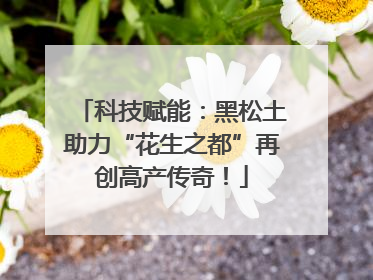 科技赋能：黑松土助力“花生之都”再创高产传奇！