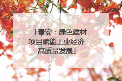 秦安：绿色建材项目赋能工业经济高质量发展
