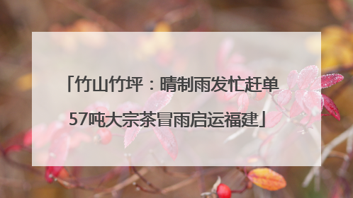竹山竹坪：晴制雨发忙赶单 57吨大宗茶冒雨启运福建