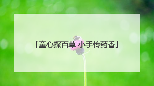 童心探百草 小手传药香
