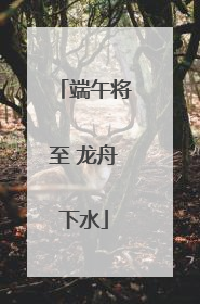 端午将至 龙舟下水
