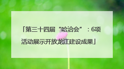 第三十四届“哈洽会”：6项活动展示开放龙江建设成果
