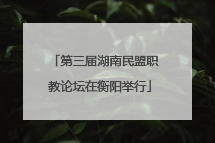 第三届湖南民盟职教论坛在衡阳举行