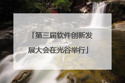 第三届软件创新发展大会在光谷举行