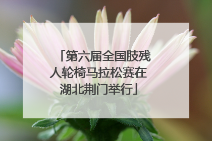 第六届全国肢残人轮椅马拉松赛在湖北荆门举行