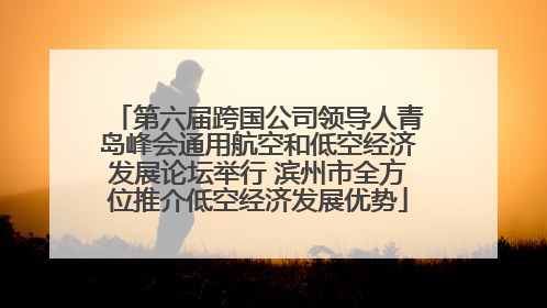 第六届跨国公司领导人青岛峰会通用航空和低空经济发展论坛举行 滨州市全方位推介低空经济发展优势