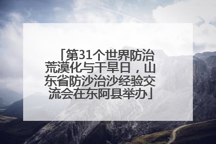 第31个世界防治荒漠化与干旱日，山东省防沙治沙经验交流会在东阿县举办